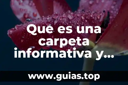 Que es una fuente informativa y sus tipos 5 Que es una carpeta informativa y para que sirve