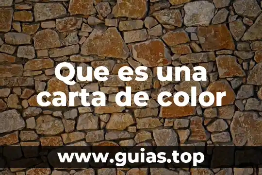 Que es lo que tiene que llevar una carta 3 Que es una carta de color