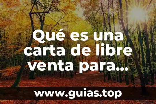 Qué es remitente de la carta 8 Qué es una carta de libre venta para importación