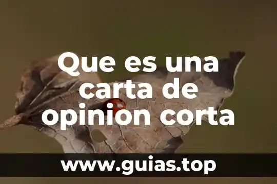 Que es la verdad definicion corta 3 Que es una carta de opinion corta