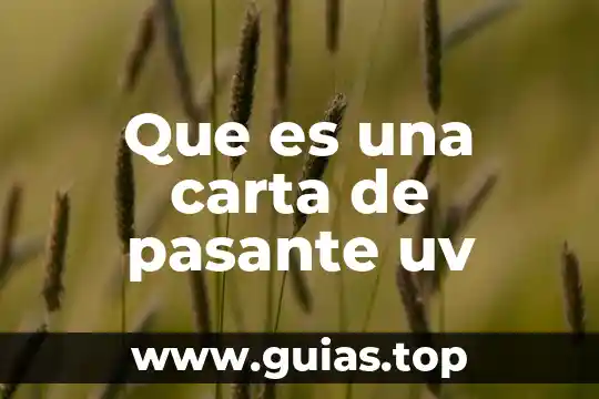 Que es una carta poder y su estructura 6 Que es una carta de pasante uv