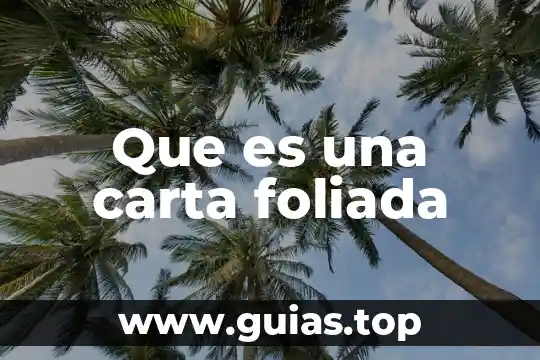 Que es una carta poder y su estructura 8 Que es una carta foliada