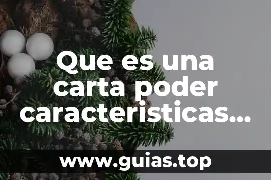 Que es el registro civil y sus funciones en mexico 4 Que es una carta poder caracteristicas y funciones