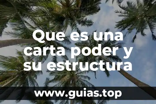 Que es una carta de libre escrito 5 Que es una carta poder y su estructura