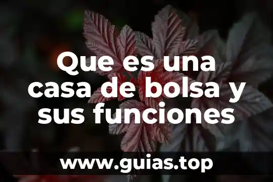 Que es el registro civil y sus funciones en mexico 6 Que es una casa de bolsa y sus funciones
