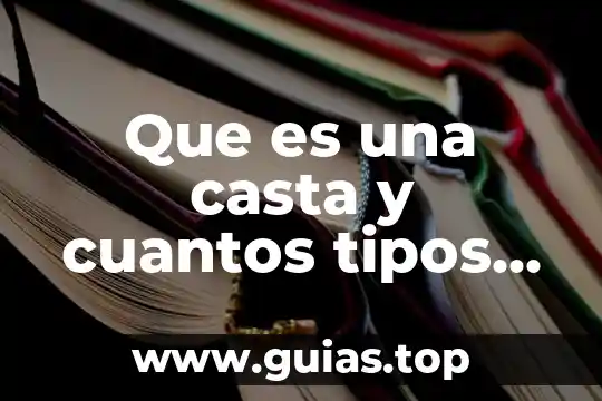 Que es el salto y sus tipos 5 Que es una casta y cuantos tipos habian
