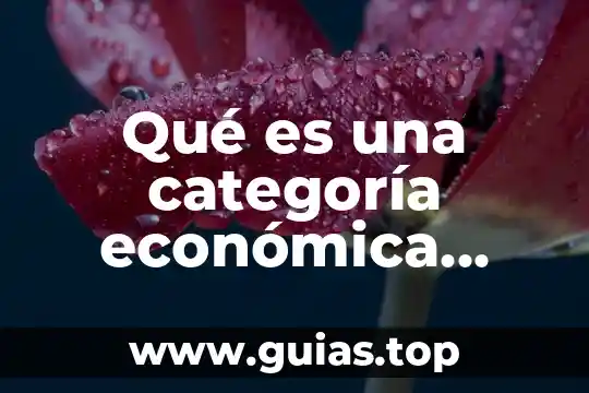 Qué es categoría definición 4 Qué es una categoría económica slideshare