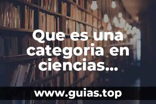 Recursos sociales que es 4 Que es una categoria en ciencias sociales