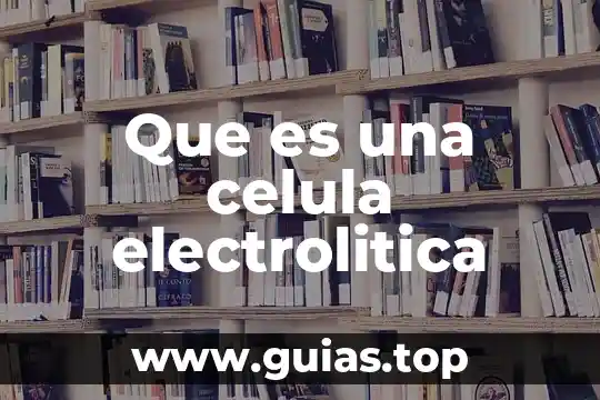 Que es citoplasma en la celula animal 8 Que es una celula electrolitica