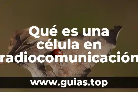 Que es el protoplasma de la celula 3 Qué es una célula en radiocomunicación