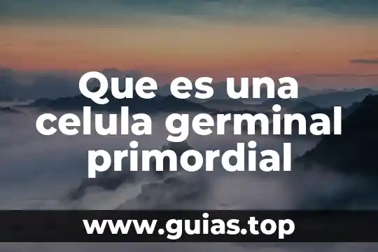 Qué es el concepto de célula eucariota 3 Que es una celula germinal primordial