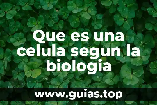 Que es citoplasma en la celula animal 7 Que es una celula segun la biologia