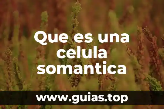 Qué es una célula en radiocomunicación 6 Que es una celula somantica