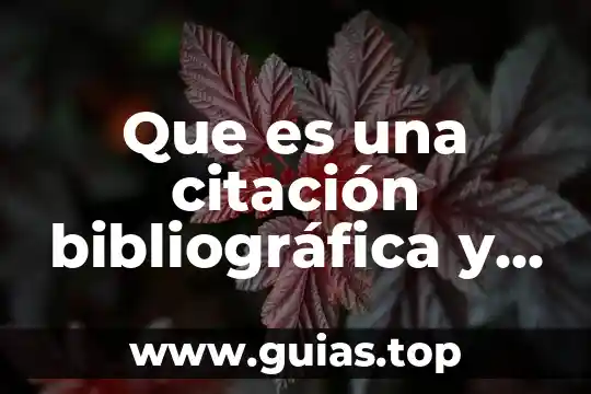 Qué es la polimerización y cuántos tipos existen 8 Que es una citación bibliográfica y cúantos tipos existen
