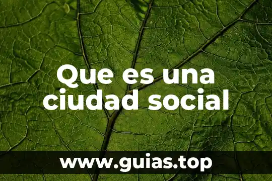 Qué es epinastia en la planta 8 Que es una ciudad social