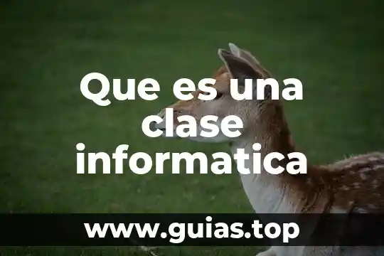 Qué es el número de intervalos de clase 4 Que es una clase informatica