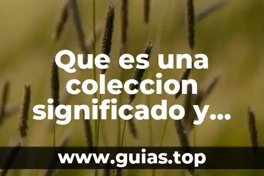 Que es una planta forma continental 4 Que es una coleccion significado y ejemplos en preescolar