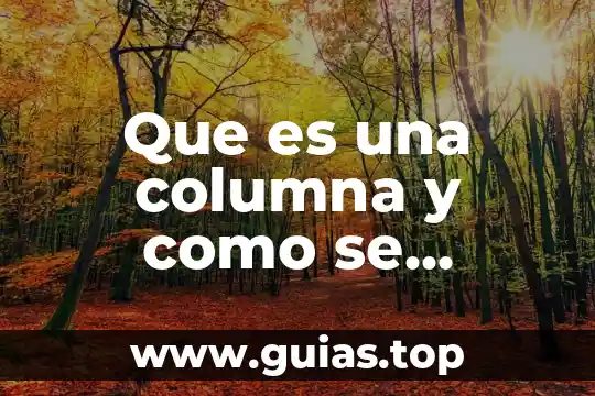 Qué es el número de Avogadro y cómo se representa 3 Que es una columna y como se representa en excel