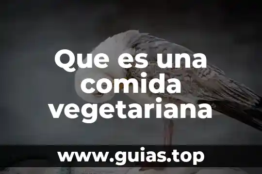 Que es comida típicda 6 Que es una comida vegetariana