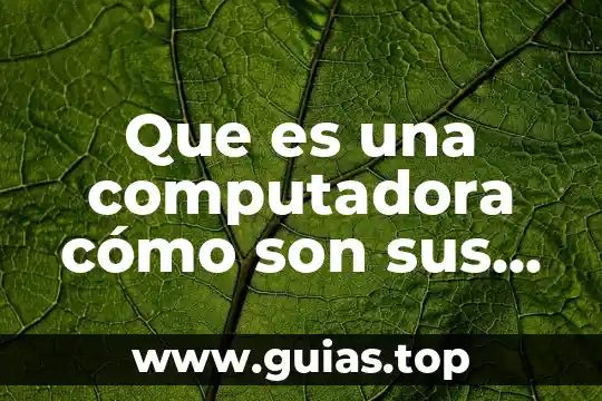 Qué es el procesador de una computadora y su funcion 4 Que es una computadora cómo son sus componentes