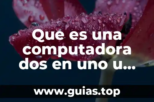 Que es mejor el nasajar o el alivian duo 3 Que es una computadora dos en uno u duo