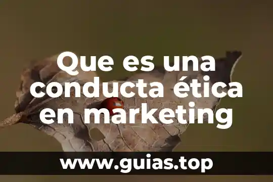 Qué es ética según J.J. Rousseau 5 Que es una conducta ética en marketing