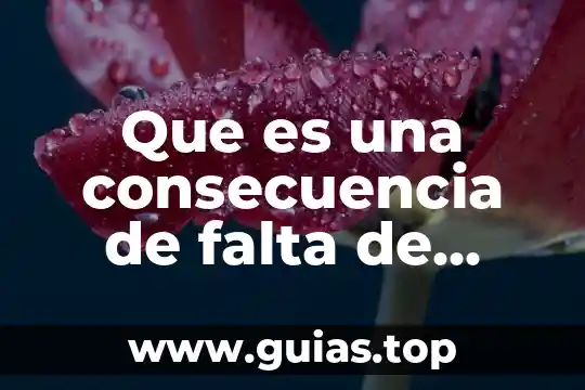 Que es anorexia causa y consecuencia 5 Que es una consecuencia de falta de servicios públicos