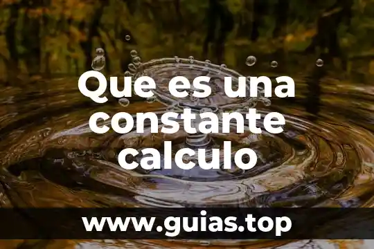 Que es el uso privado de la razon concepto 3 Que es una constante calculo