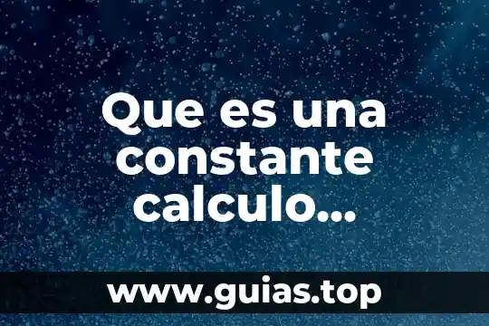 Que es calculo intuitivamente 6 Que es una constante calculo vectorial