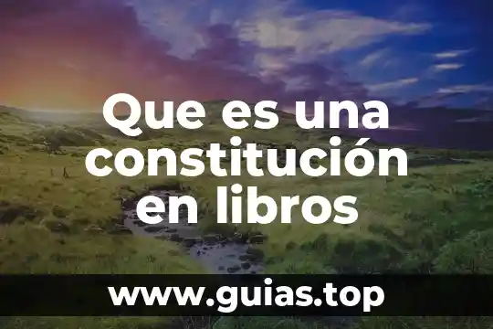 Que es ecosistemas ambientales libros 3 Que es una constitución en libros