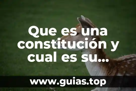 Que es una institucion de credito y su importancia 4 Que es una constitución y cual es su importancia