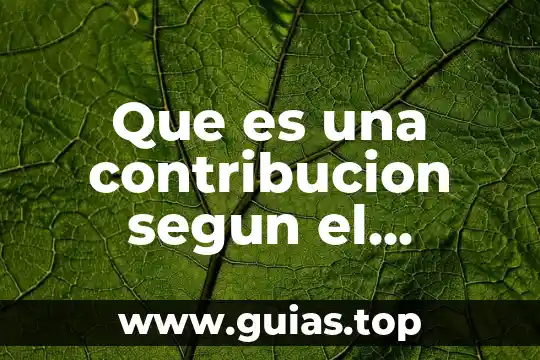 Que es un efectos fiscal en contabilidad 8 Que es una contribucion segun el codigo fiscal