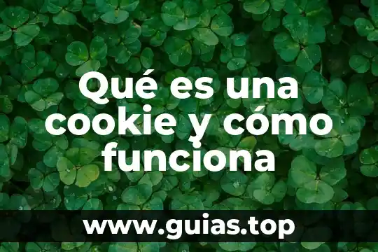 Que es un diodo n y como funciona 3 Qué es una cookie y cómo funciona