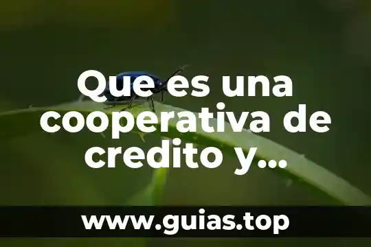 Que es un sistema de ahorro de agua 8 Que es una cooperativa de credito y ahorro