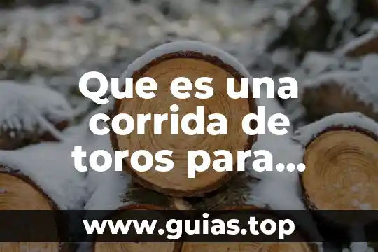 Que es la estrella de mar para niños de preescolar 6 Que es una corrida de toros para niños