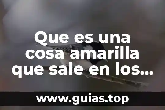 Sale and lease back que es 4 Que es una cosa amarilla que sale en los dientes