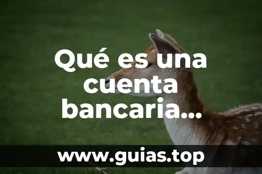 ¿Qué es la Clabe Interbancaria y número de cuenta diferencia? 4 Qué es una cuenta bancaria productiva
