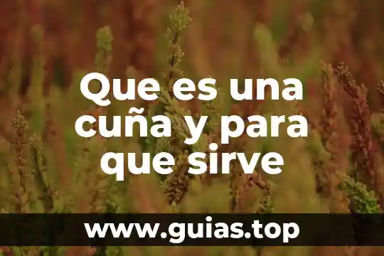 Mapa de sol que es una compañia 7 Que es una cuña y para que sirve