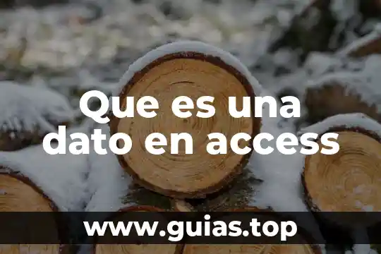 Que es un dato para bases de datos en access 3 Que es una dato en access