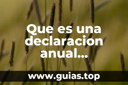 Declaración Universal de los Derechos Humanos para adolescentes que es 6 Que es una declaracion anual informativa