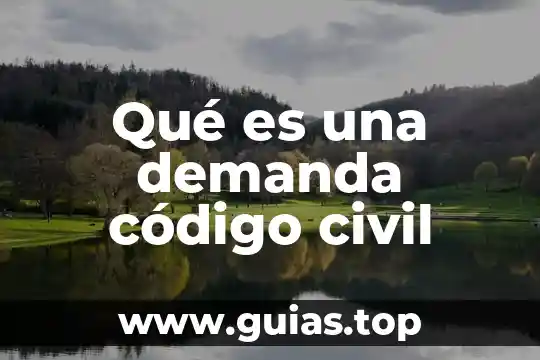 Que es una solicitar de nombre para el registro civil 4 Qué es una demanda código civil
