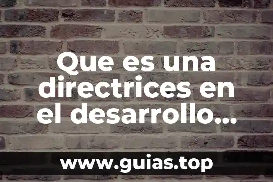Que es un niño concepto 7 Que es una directrices en el desarrollo del niño
