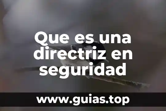 El número de seguridad social Colombia 7 Que es una directriz en seguridad