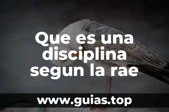 Qué es psicología rae 5 Que es una disciplina segun la rae