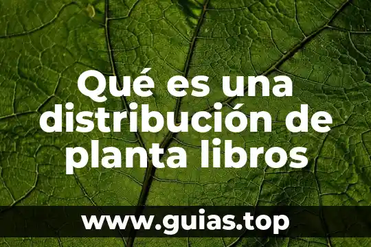 Funcion en un grafico que es 5 Qué es una distribución de planta libros