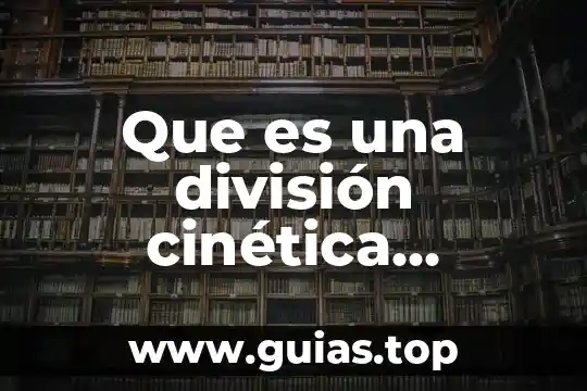 Que es una division sus elementos 4 Que es una división cinética matematica
