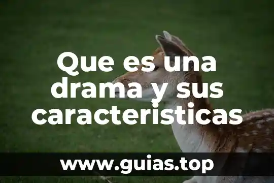 Que es el franquismo y sus caracteristicas 5 Que es una drama y sus caracteristicas