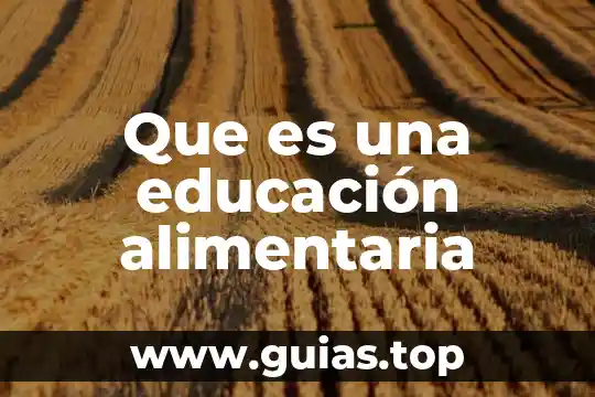 Que es una red alimentaria ejemplos 3 Que es una educación alimentaria