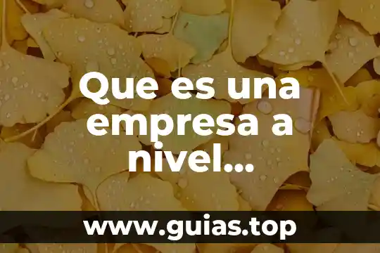 Qué es un número con signo 3 Que es una empresa a nivel internacional