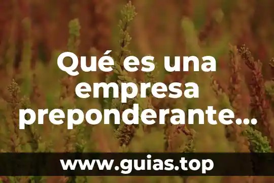 Ejemplos de lo que es la razonamiento 5 Qué es una empresa preponderante ejemplos